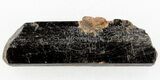 Fluoro-Magnesiokatophorite crystal - Ontario, CA #37794-1